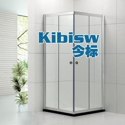 源发卫浴LR-001 铝合金淋浴房方形对角趟门，品质与工艺的完美交汇